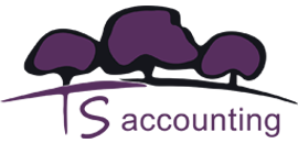 TS Accounting Logo